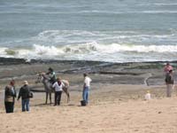 /international/2006Walvisbay/images/SeaLeg/thumbnails/racesealeg 021.jpg